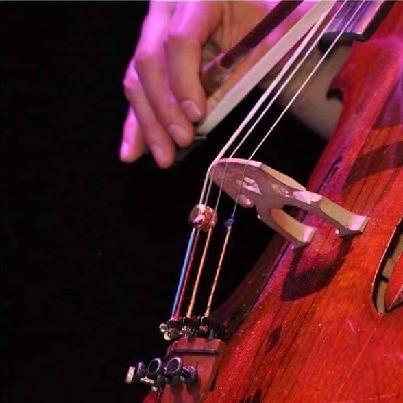 Main de Sigifredo Cavallini jouant du violoncelle